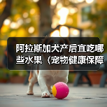 阿拉斯加犬产后宜吃哪些水果(宠物健康保障)(图4) 阿拉斯加犬产后宜吃哪些水果(宠物健康保障)(图4)