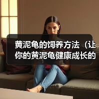 黄泥龟的饲养方法(让你的黄泥龟健康成长的秘诀)(图4) 黄泥龟的饲养方法(让你的黄泥龟健康成长的秘诀)(图4)