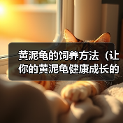 黄泥龟的饲养方法(让你的黄泥龟健康成长的秘诀)(图3) 黄泥龟的饲养方法(让你的黄泥龟健康成长的秘诀)(图3)