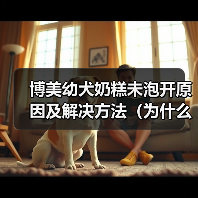 博美幼犬奶糕未泡开原因及解决方法（为什么博美幼犬奶糕没泡开？如何避免和解决？）（图3）