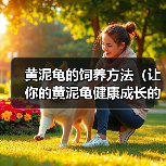 黄泥龟的饲养方法(让你的黄泥龟健康成长的秘诀)(图1) 黄泥龟的饲养方法(让你的黄泥龟健康成长的秘诀)(图1)