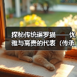 探秘传统暹罗猫——优雅与高贵的代表（传承千年的优良品种，这些细节你一定要知道）（图1）