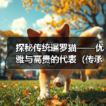 探秘传统暹罗猫——优雅与高贵的代表（传承千年的优良品种，这些细节你一定要知道）（图2）