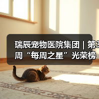 瑞辰宠物医院集团 | 第3周“每周之星”光荣榜(图2) 瑞辰宠物医院集团 | 第3周“每周之星”光荣榜(图2)