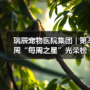 瑞辰宠物医院集团 | 第3周“每周之星”光荣榜(图1) 瑞辰宠物医院集团 | 第3周“每周之星”光荣榜(图1)