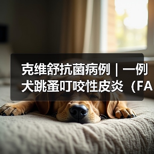 克维舒抗菌病例 | 一例犬跳蚤叮咬性皮炎(FAD)的病例分析(图1) 克维舒抗菌病例 | 一例犬跳蚤叮咬性皮炎(FAD)的病例分析(图1)