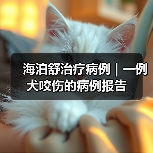海泊舒治疗病例 | 一例犬咬伤的病例报告(图1) 海泊舒治疗病例 | 一例犬咬伤的病例报告(图1)