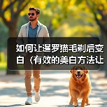 如何让暹罗猫毛剃后变白(有效的美白方法让暹罗猫的毛色焕发新生)(图3) 如何让暹罗猫毛剃后变白(有效的美白方法让暹罗猫的毛色焕发新生)(图3)