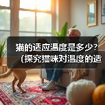 猫的适应温度是多少?(探究猫咪对温度的适应能力及关键因素)(图1) 猫的适应温度是多少?(探究猫咪对温度的适应能力及关键因素)(图1)