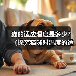 猫的适应温度是多少?(探究猫咪对温度的适应能力及关键因素)(图3) 猫的适应温度是多少?(探究猫咪对温度的适应能力及关键因素)(图3)