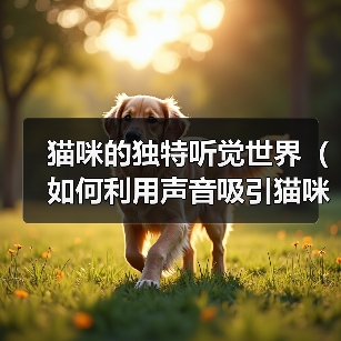 猫咪的独特听觉世界（如何利用声音吸引猫咪注意）（图4）