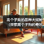 高个子狗的品种大揭秘(探索高个子狗的奇妙世界)(图4) 高个子狗的品种大揭秘(探索高个子狗的奇妙世界)(图4)