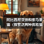 阿比西尼亚猫和索马里猫（探索这两种优雅猫咪的起源与特征，了解它们的相似与差异）（图1）