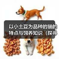 以小土豆为品种的猫的特点与饲养知识（探寻以小土豆为品种的猫的独特之处与饲养技巧）（图4）