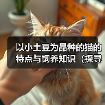 以小土豆为品种的猫的特点与饲养知识（探寻以小土豆为品种的猫的独特之处与饲养技巧）（图2）