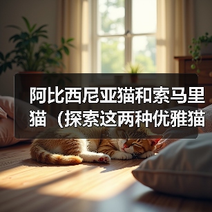 阿比西尼亚猫和索马里猫（探索这两种优雅猫咪的起源与特征，了解它们的相似与差异）（图2）