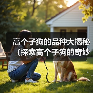 高个子狗的品种大揭秘(探索高个子狗的奇妙世界)(图1) 高个子狗的品种大揭秘(探索高个子狗的奇妙世界)(图1)