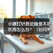 小猫打针后总睡觉不吃东西怎么办?(如何帮助小猫恢复食欲?)(图2) 小猫打针后总睡觉不吃东西怎么办?(如何帮助小猫恢复食欲?)(图2)