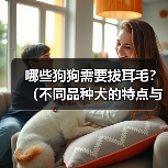 哪些狗狗需要拔耳毛？（不同品种犬的特点与耳毛清理方法）（图1）