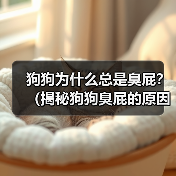 狗狗为什么总是臭屁?(揭秘狗狗臭屁的原因和解决方法)(图3) 狗狗为什么总是臭屁?(揭秘狗狗臭屁的原因和解决方法)(图3)