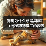狗狗为什么总是臭屁?(揭秘狗狗臭屁的原因和解决方法)(图2) 狗狗为什么总是臭屁?(揭秘狗狗臭屁的原因和解决方法)(图2)