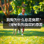 狗狗为什么总是臭屁?(揭秘狗狗臭屁的原因和解决方法)(图1) 狗狗为什么总是臭屁?(揭秘狗狗臭屁的原因和解决方法)(图1)