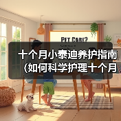 十个月小泰迪养护指南(如何科学护理十个月大的泰迪狗?)(图1) 十个月小泰迪养护指南(如何科学护理十个月大的泰迪狗?)(图1)