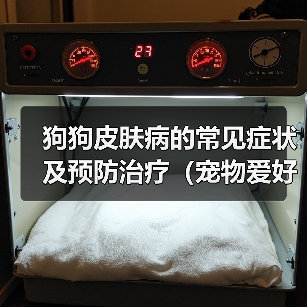 狗狗皮肤病的常见症状及预防治疗(宠物爱好者必看!狗狗皮肤病的预防和治疗方法)(图1) 狗狗皮肤病的常见症状及预防治疗(宠物爱好者必看!狗狗皮肤病的预防和治疗方法)(图1)