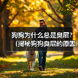 狗狗为什么总是臭屁?(揭秘狗狗臭屁的原因和解决方法)(图4) 狗狗为什么总是臭屁?(揭秘狗狗臭屁的原因和解决方法)(图4)