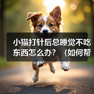 小猫打针后总睡觉不吃东西怎么办?(如何帮助小猫恢复食欲?)(图3) 小猫打针后总睡觉不吃东西怎么办?(如何帮助小猫恢复食欲?)(图3)