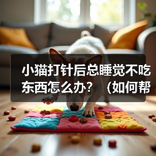 小猫打针后总睡觉不吃东西怎么办?(如何帮助小猫恢复食欲?)(图4) 小猫打针后总睡觉不吃东西怎么办?(如何帮助小猫恢复食欲?)(图4)