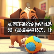 如何正确给宠物猫咪洗澡(掌握关键技巧,让猫咪洗澡不再难)(图3) 如何正确给宠物猫咪洗澡(掌握关键技巧,让猫咪洗澡不再难)(图3)