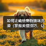 如何正确给宠物猫咪洗澡(掌握关键技巧,让猫咪洗澡不再难)(图1) 如何正确给宠物猫咪洗澡(掌握关键技巧,让猫咪洗澡不再难)(图1)