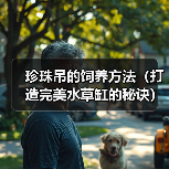 珍珠吊的饲养方法（打造完美水草缸的秘诀）（图1）