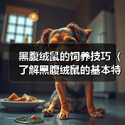 黑腹绒鼠的饲养技巧(了解黑腹绒鼠的基本特征和饲养需要,保持它们的健康和快乐生活)(图1) 黑腹绒鼠的饲养技巧(了解黑腹绒鼠的基本特征和饲养需要,保持它们的健康和快乐生活)(图1)