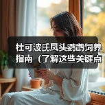 杜可波氏凤头鹦鹉饲养指南(了解这些关键点,让你成为杜凤饲养达人!)(图2) 杜可波氏凤头鹦鹉饲养指南(了解这些关键点,让你成为杜凤饲养达人!)(图2)