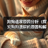 狗狗遗尿原因分析(探究狗狗遗尿的原因和解决方法)(图1) 狗狗遗尿原因分析(探究狗狗遗尿的原因和解决方法)(图1)