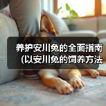 养护安川兔的全面指南(以安川兔的饲养方法为主题,让您成为宠物养护达人)(图3) 养护安川兔的全面指南(以安川兔的饲养方法为主题,让您成为宠物养护达人)(图3)