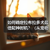 如何确定拉布拉多犬最佳配种时机?(从宠物健康、繁殖周期、遗传基因等方面入手,把握最佳配种时机)(图3) 如何确定拉布拉多犬最佳配种时机?(从宠物健康、繁殖周期、遗传基因等方面入手,把握最佳配种时机)(图3)