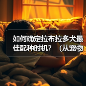 如何确定拉布拉多犬最佳配种时机?(从宠物健康、繁殖周期、遗传基因等方面入手,把握最佳配种时机)(图4) 如何确定拉布拉多犬最佳配种时机?(从宠物健康、繁殖周期、遗传基因等方面入手,把握最佳配种时机)(图4)