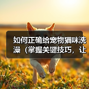 如何正确给宠物猫咪洗澡(掌握关键技巧,让猫咪洗澡不再难)(图4) 如何正确给宠物猫咪洗澡(掌握关键技巧,让猫咪洗澡不再难)(图4)