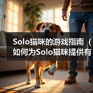 Solo猫咪的游戏指南(如何为Solo猫咪提供有趣的游戏体验)(图2) Solo猫咪的游戏指南(如何为Solo猫咪提供有趣的游戏体验)(图2)