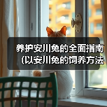 养护安川兔的全面指南(以安川兔的饲养方法为主题,让您成为宠物养护达人)(图2) 养护安川兔的全面指南(以安川兔的饲养方法为主题,让您成为宠物养护达人)(图2)