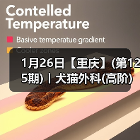 1月26日【重庆】(第125期)丨犬猫外科(高阶)班!含SUB(人人可实操)、乳糜胸等技术!(图2) 1月26日【重庆】(第125期)丨犬猫外科(高阶)班!含SUB(人人可实操)、乳糜胸等技术!(图2)