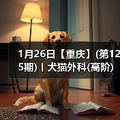 1月26日【重庆】(第125期)丨犬猫外科(高阶)班!含SUB(人人可实操)、乳糜胸等技术!(图3) 1月26日【重庆】(第125期)丨犬猫外科(高阶)班!含SUB(人人可实操)、乳糜胸等技术!(图3)