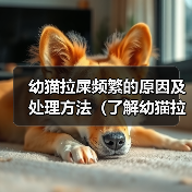 幼猫拉屎频繁的原因及处理方法(了解幼猫拉屎频繁的原因及如何应对)(图2) 幼猫拉屎频繁的原因及处理方法(了解幼猫拉屎频繁的原因及如何应对)(图2)