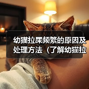 幼猫拉屎频繁的原因及处理方法(了解幼猫拉屎频繁的原因及如何应对)(图4) 幼猫拉屎频繁的原因及处理方法(了解幼猫拉屎频繁的原因及如何应对)(图4)