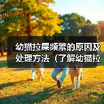 幼猫拉屎频繁的原因及处理方法(了解幼猫拉屎频繁的原因及如何应对)(图1) 幼猫拉屎频繁的原因及处理方法(了解幼猫拉屎频繁的原因及如何应对)(图1)