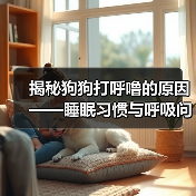 揭秘狗狗打呼噜的原因——睡眠习惯与呼吸问题(了解狗狗打呼噜的原因,保障它们的健康与舒适)(图1) 揭秘狗狗打呼噜的原因——睡眠习惯与呼吸问题(了解狗狗打呼噜的原因,保障它们的健康与舒适)(图1)