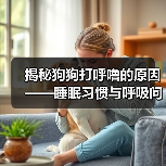 揭秘狗狗打呼噜的原因——睡眠习惯与呼吸问题(了解狗狗打呼噜的原因,保障它们的健康与舒适)(图2) 揭秘狗狗打呼噜的原因——睡眠习惯与呼吸问题(了解狗狗打呼噜的原因,保障它们的健康与舒适)(图2)